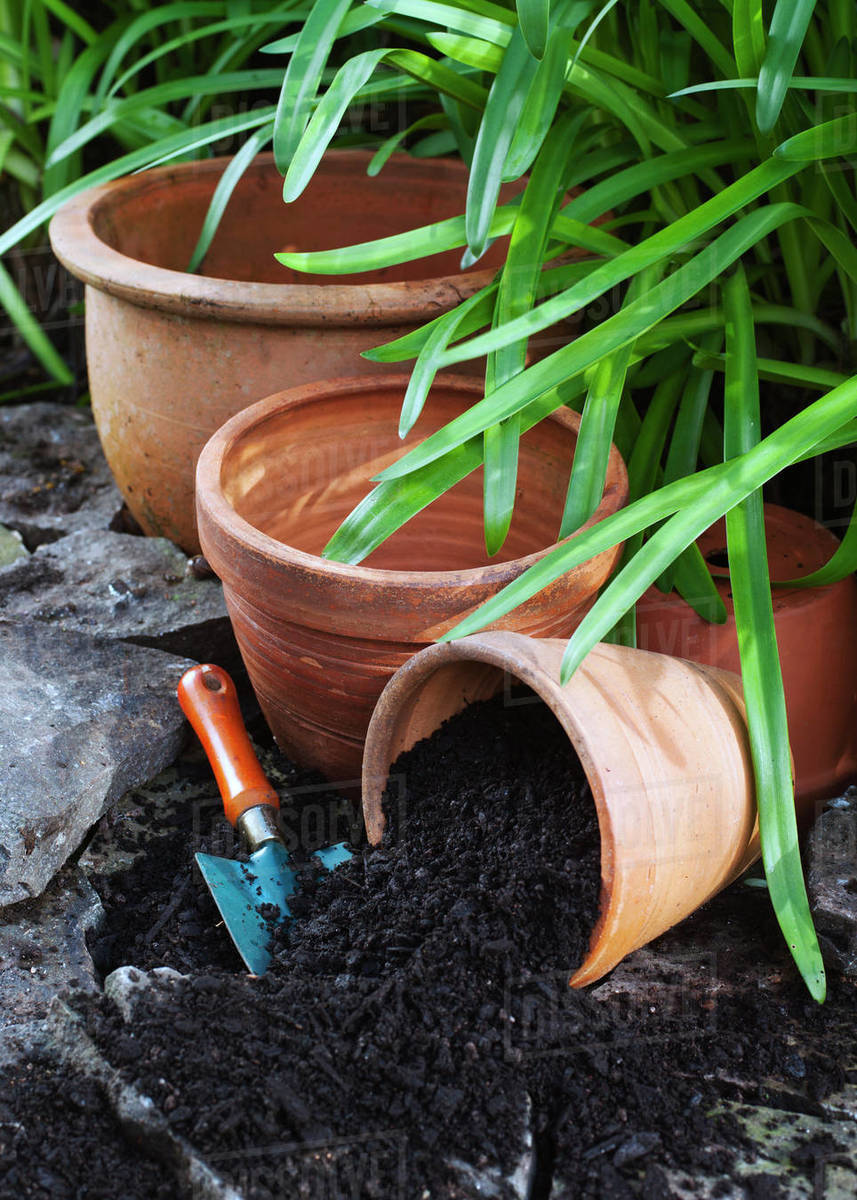 Terracotta pots ready for planting in garden setting Stock Photo