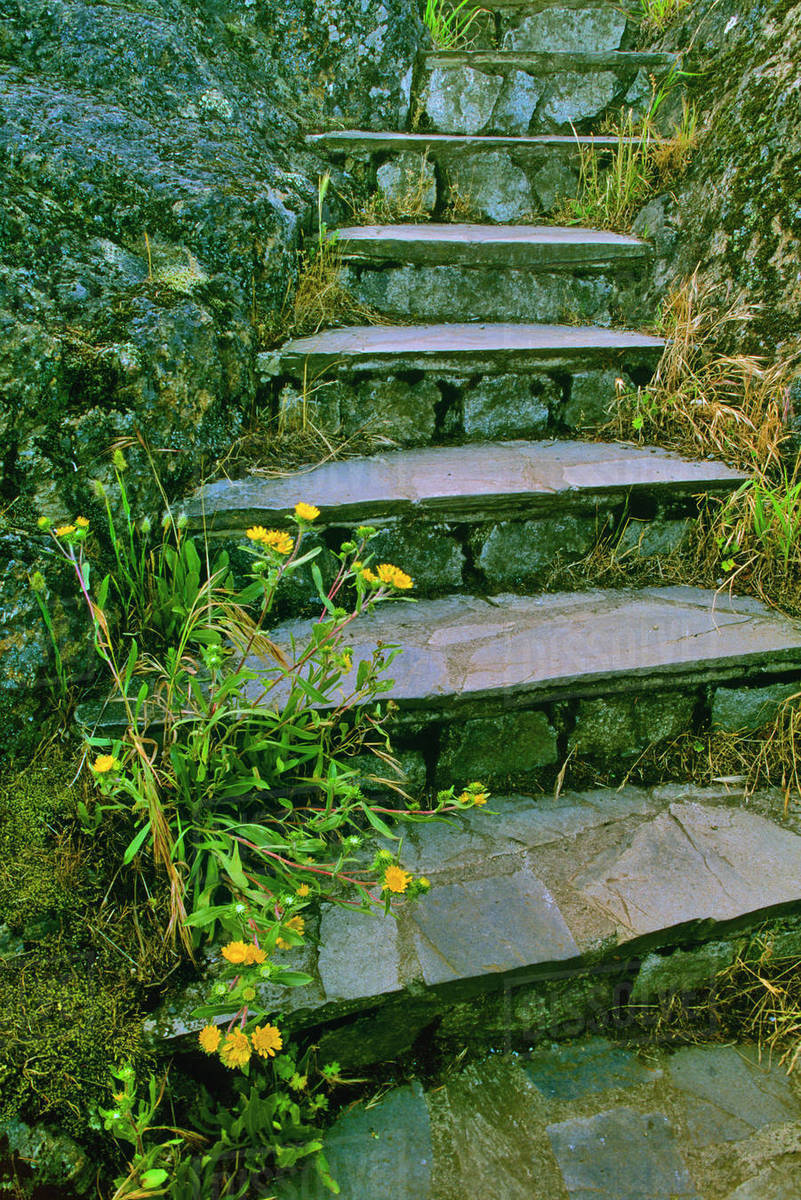 Rustic Steps - Stock Photo - Dissolve