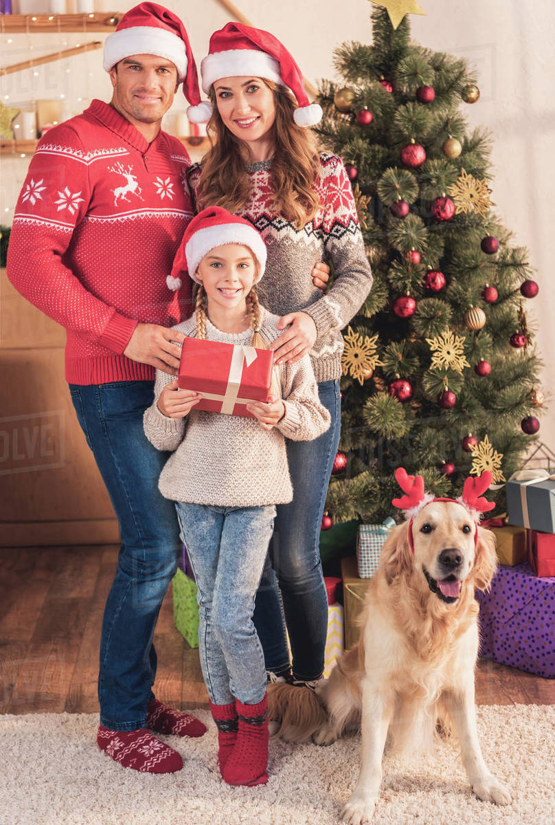 Family in santa hats with dog in deer horns standing near christmas tree with gifts stock photo
