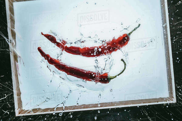 Fresh chili peppers floating in water with splash - Stock Photo - Dissolve