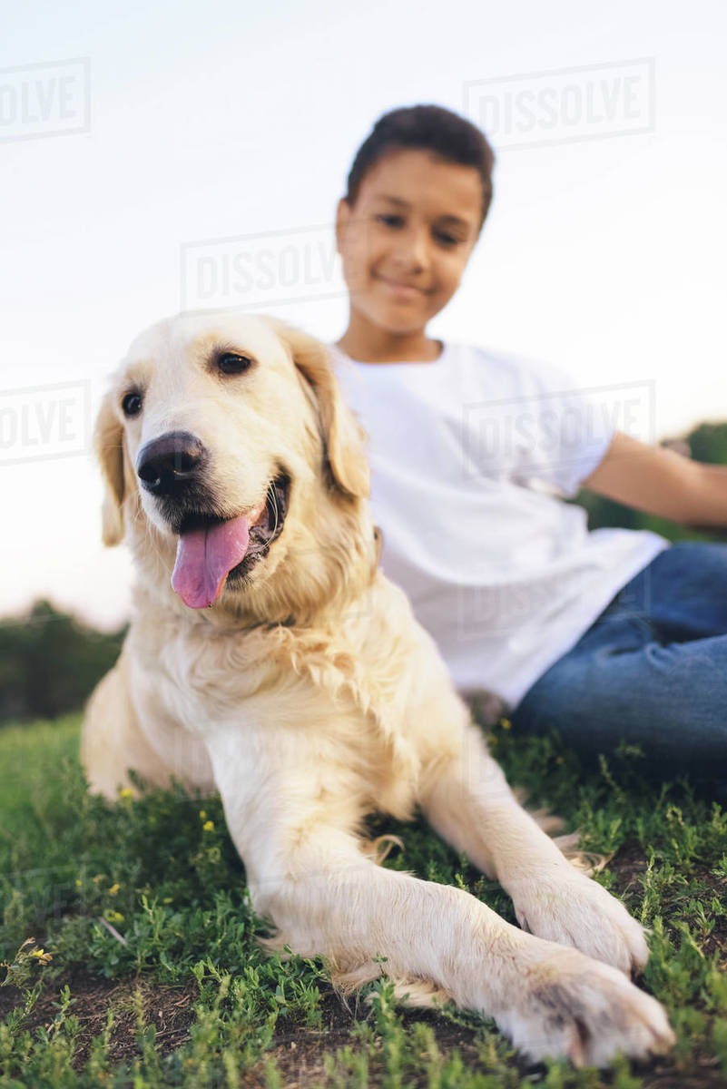 Close-up view of cute golden retriever dog lying on grass near