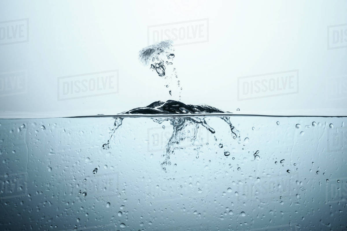 Ice cube in pure water with splash, isolated on white Stock Photo