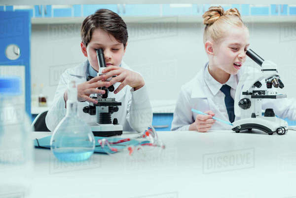 Schoolchildren with science lab equipment in chemical lab, scientists ...