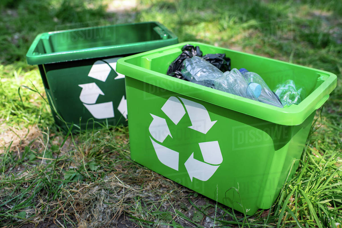 Green recycling boxes with plastic trash standing on lawn Stock Photo Dissolve