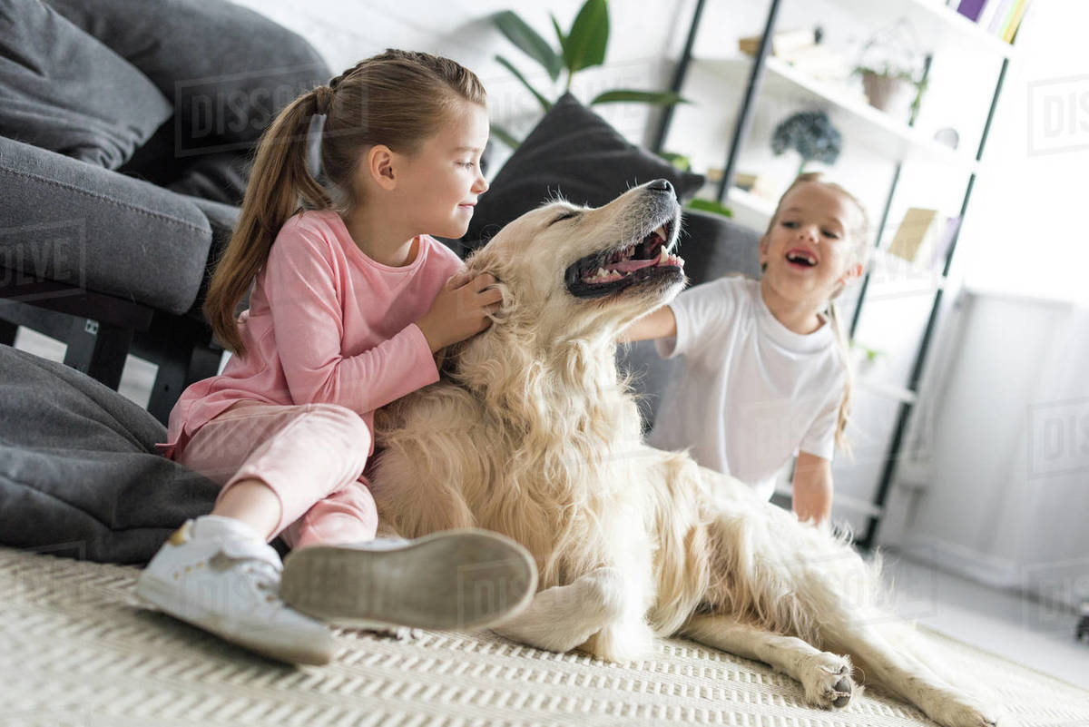 Happy adorable kids petting golden retriever dog at home Royalty