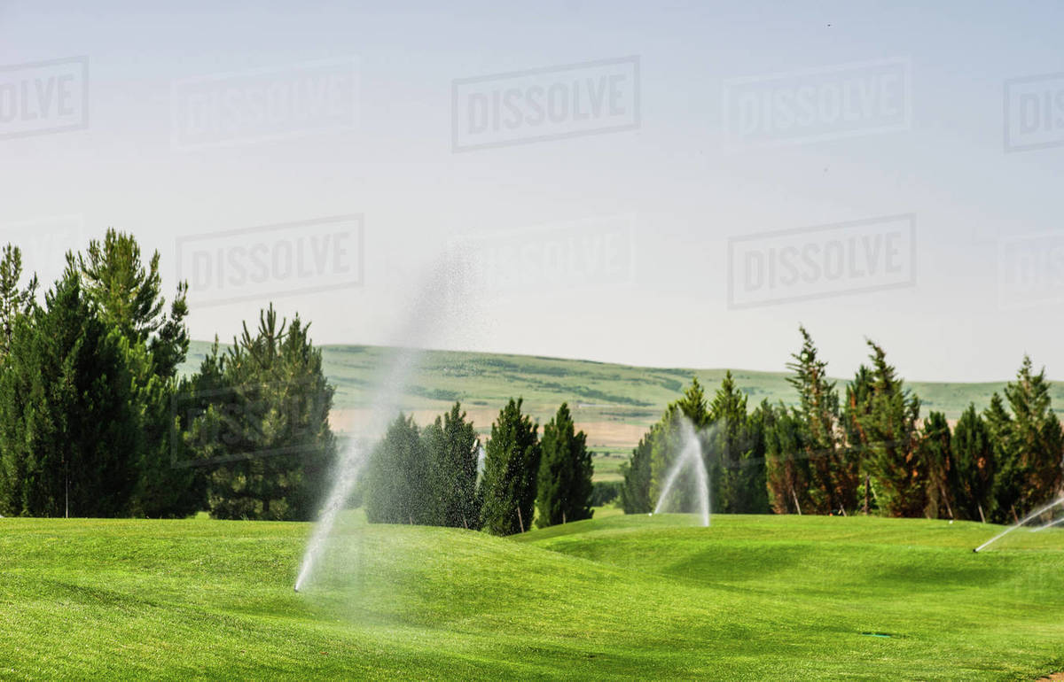 Water sprinklers watering the grass on a golf course in summer, Kakheti