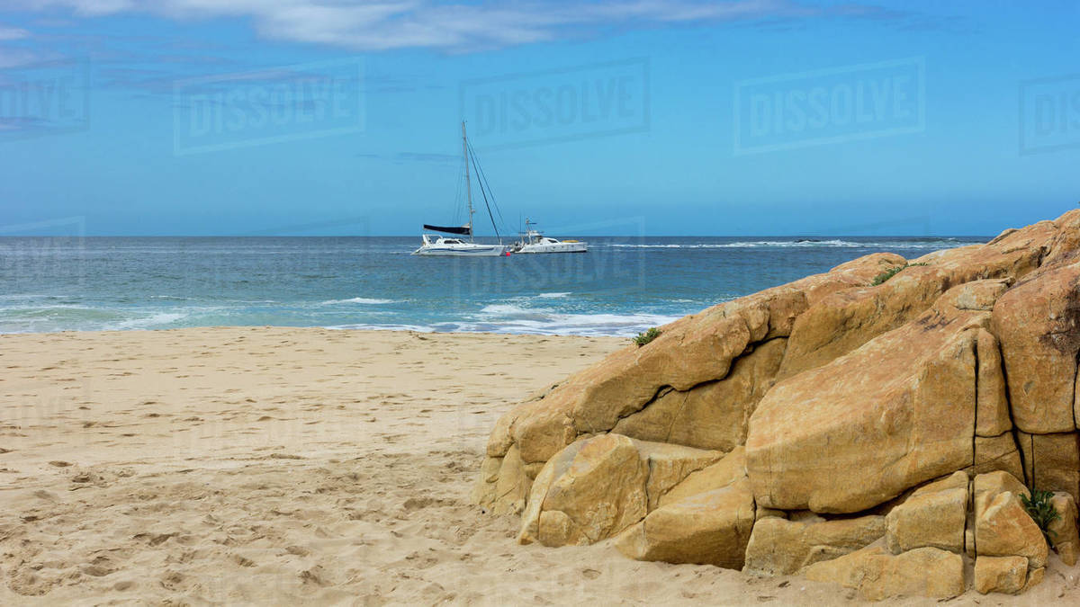 Plettenberg bay singles