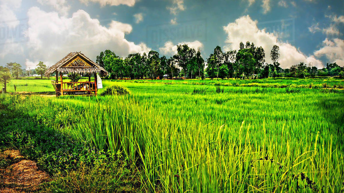 Khon Kaen's Rural Landscapes