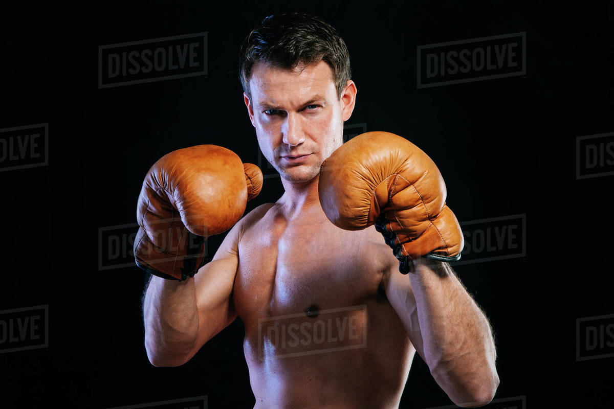 Portrait of a Male boxer Stock Photo Dissolve