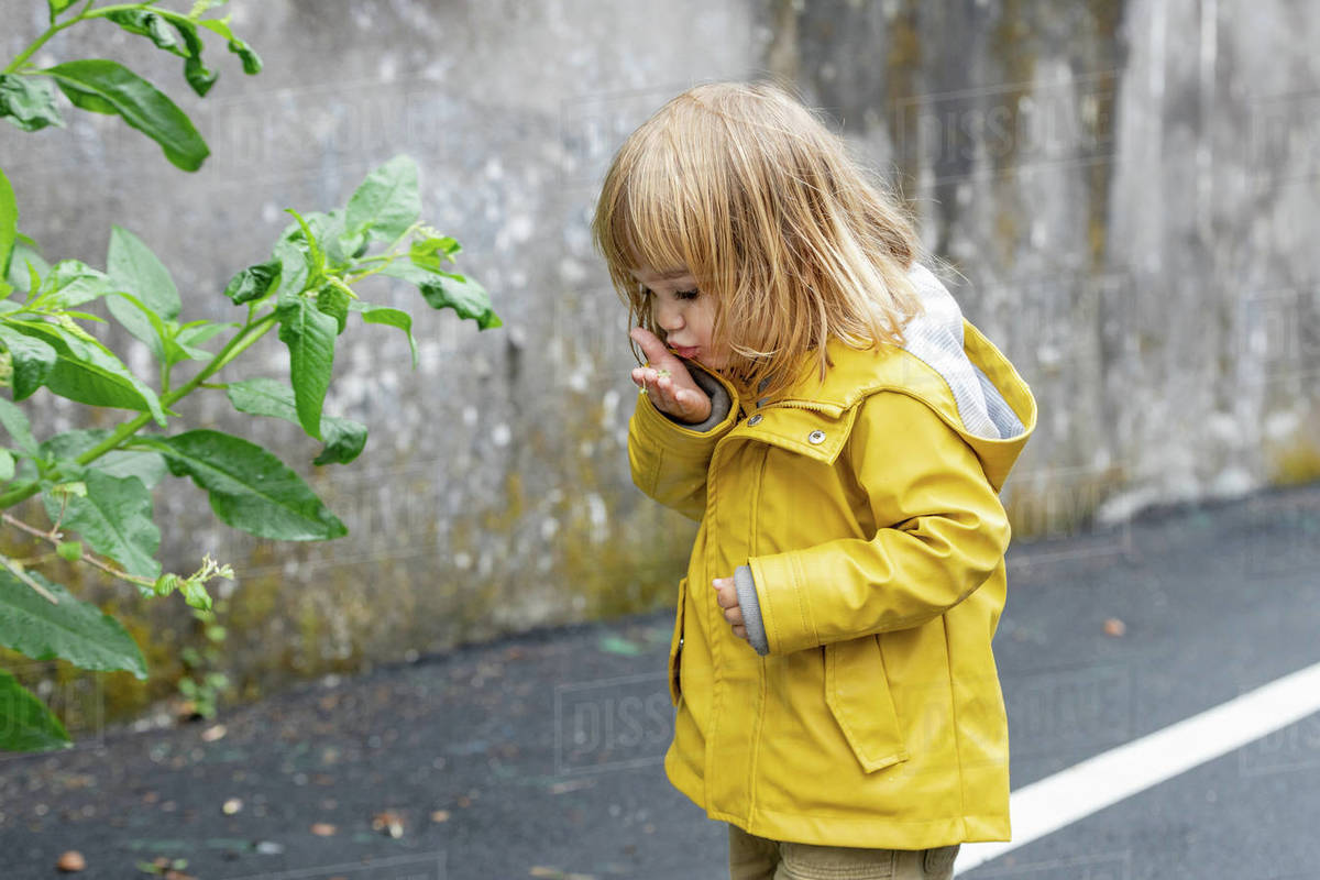bright yellow raincoat