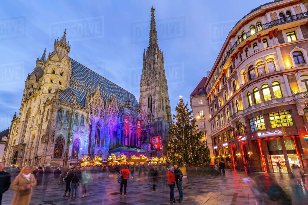 View Of St Stephen S Cathedral Shops And Christmas Tree On