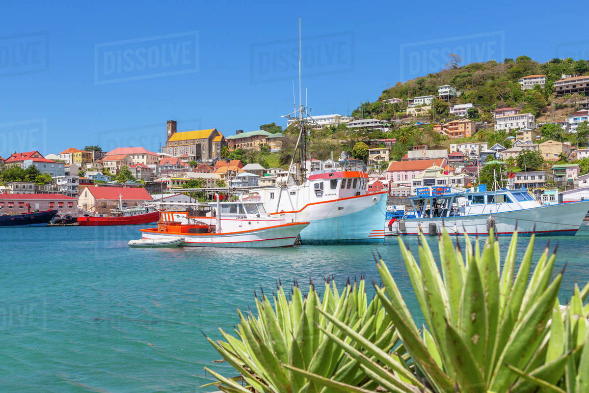 View over the Carenage of St. George's, Grenada, Windward Islands, West Indies, Caribbean, Central America Royalty-free stock photo