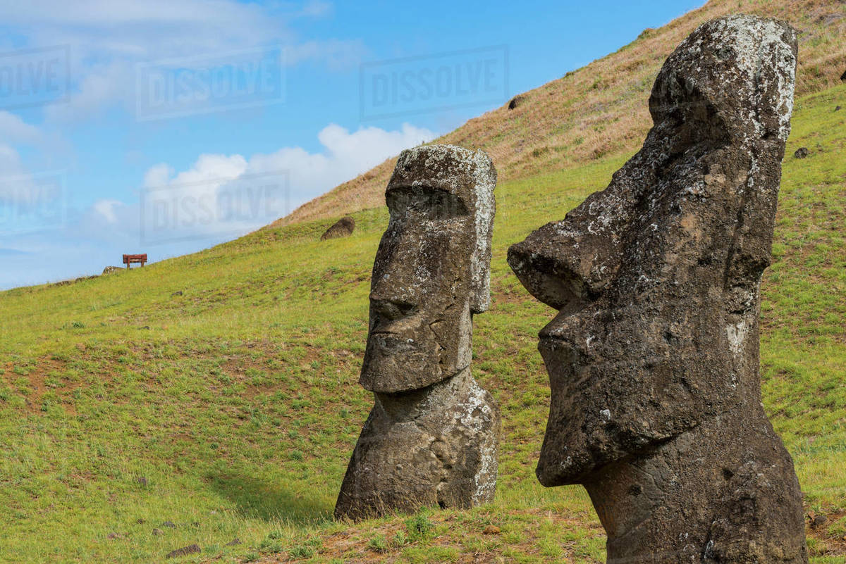 Moai heads of Easter Island, Rapa Nui National Park, UNESCO World