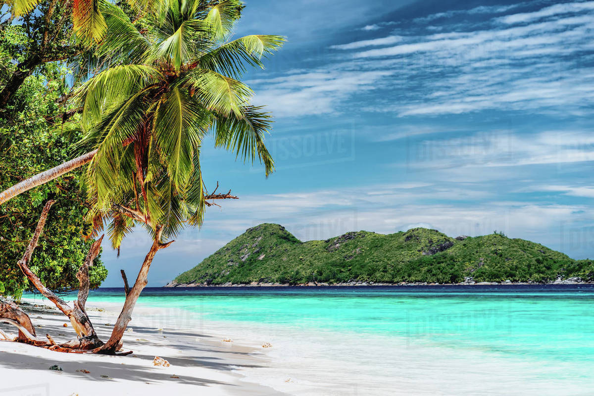 Luxury vacation scene on tropical island. Paradise beach with white