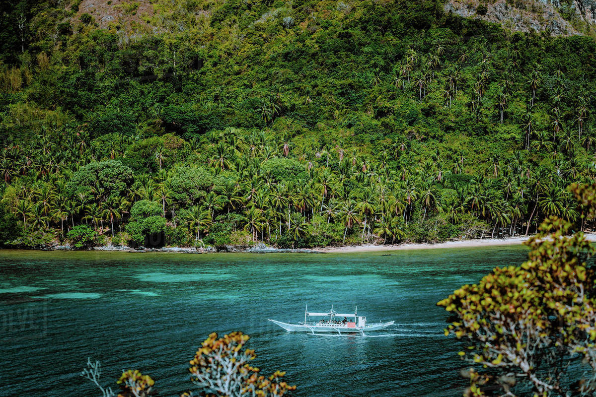 Tourist boat against jungle rainforest near beautiful tropical Snake
