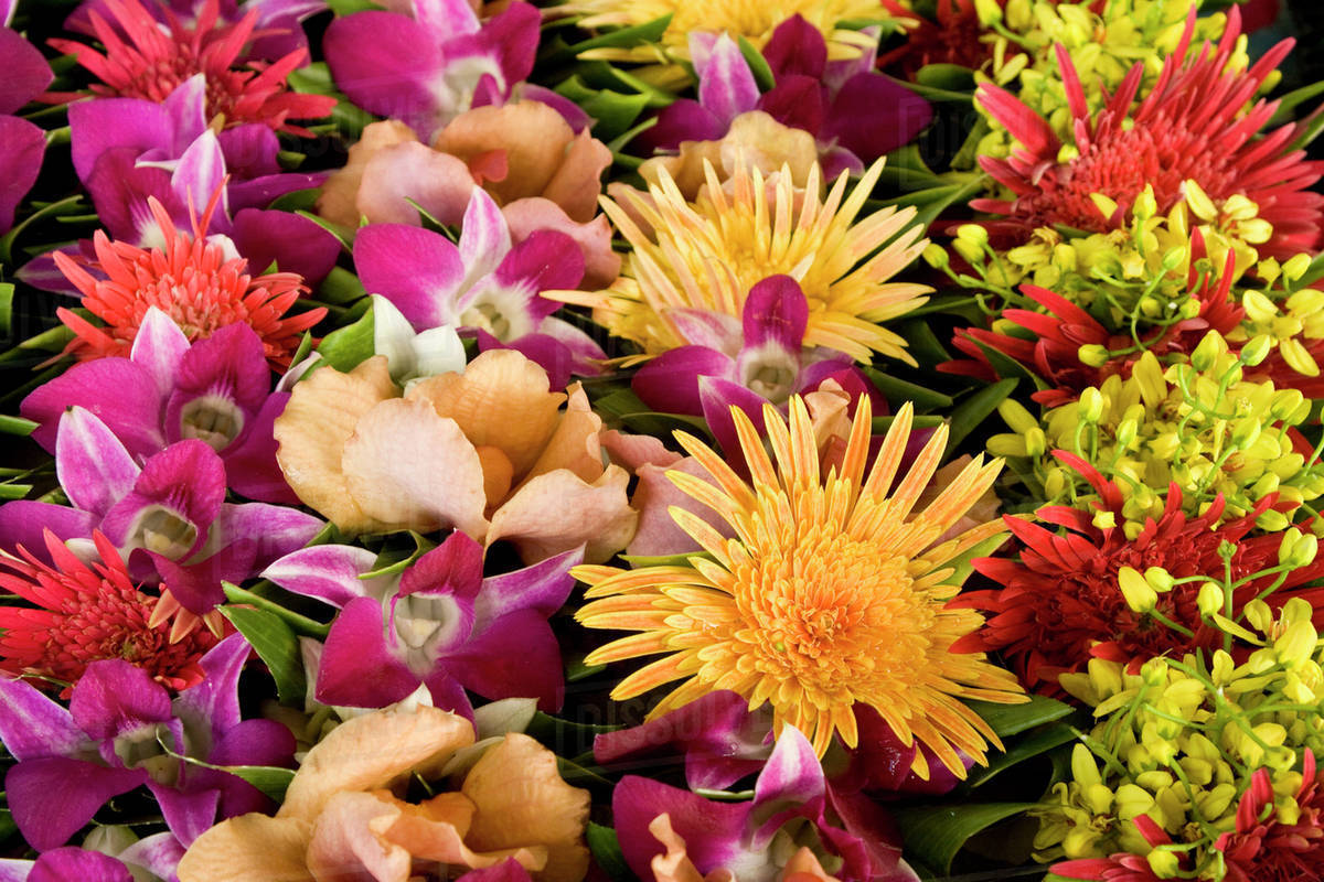 French Polynesia. Display of tropical native flowers. Stock Photo