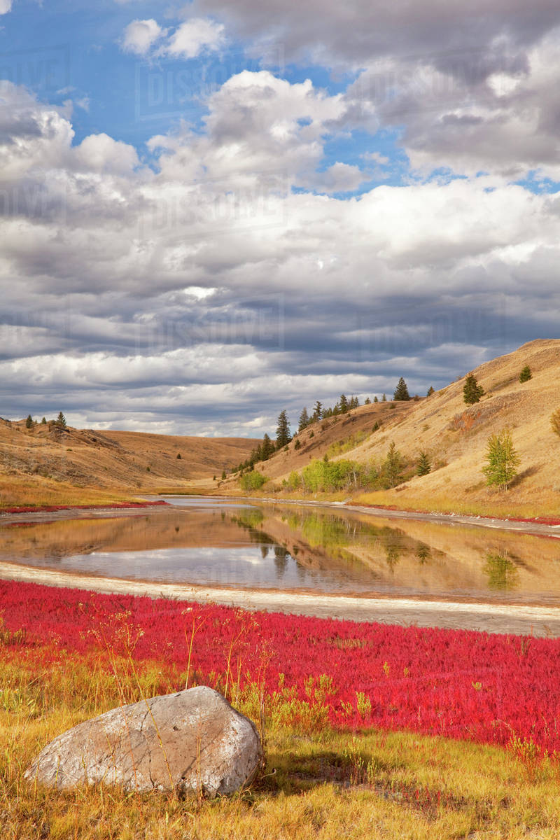 Canada, British Columbia, Kamloops, Lac Du Bois Grasslands Park