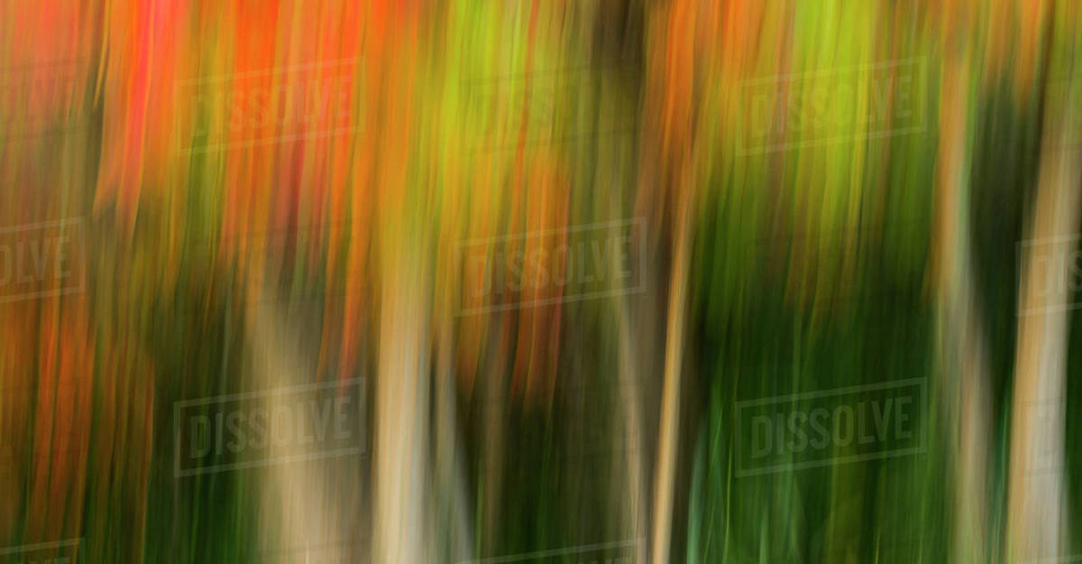 USA, Washington State, Walla Walla County. Whitman Mission National