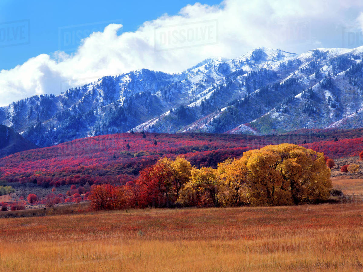Utah. USA. Autumn snow on Wellsville Mountains above field and groves