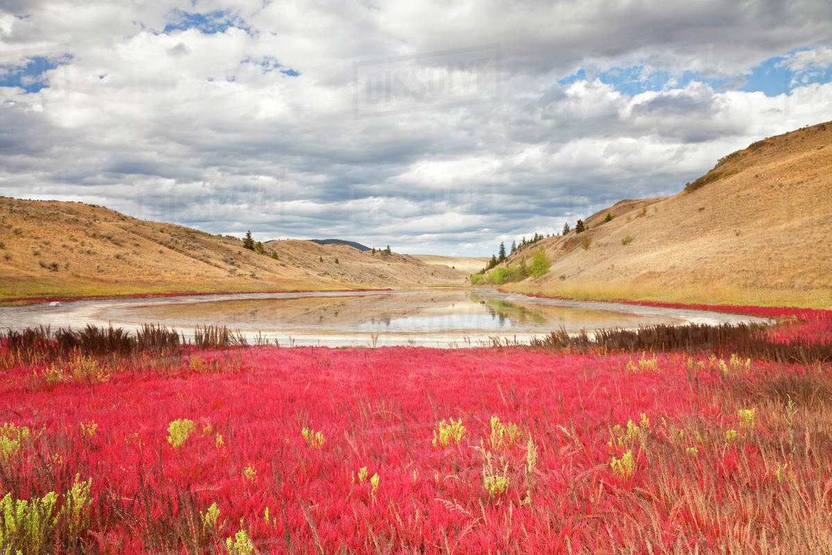 Canada, British Columbia, Kamloops, Lac Du Bois Grasslands Park