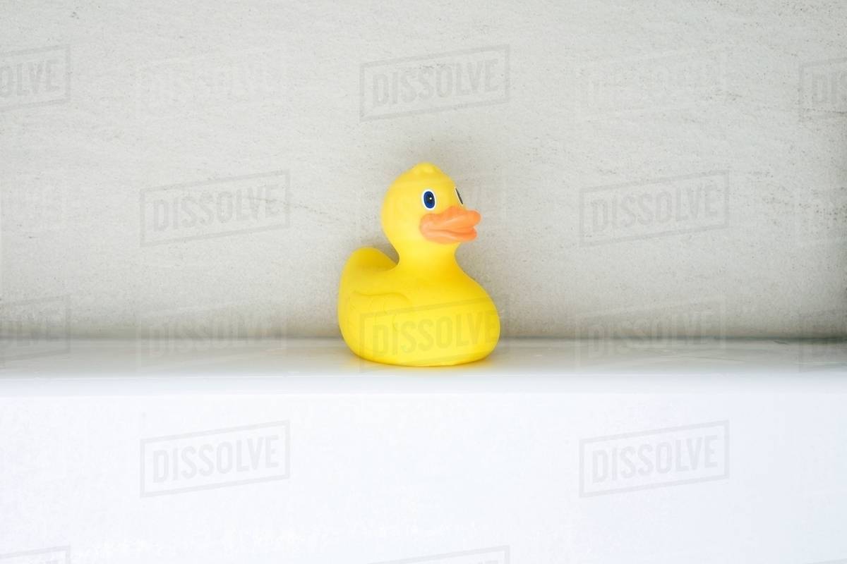 Rubber duck Stock Photo Dissolve