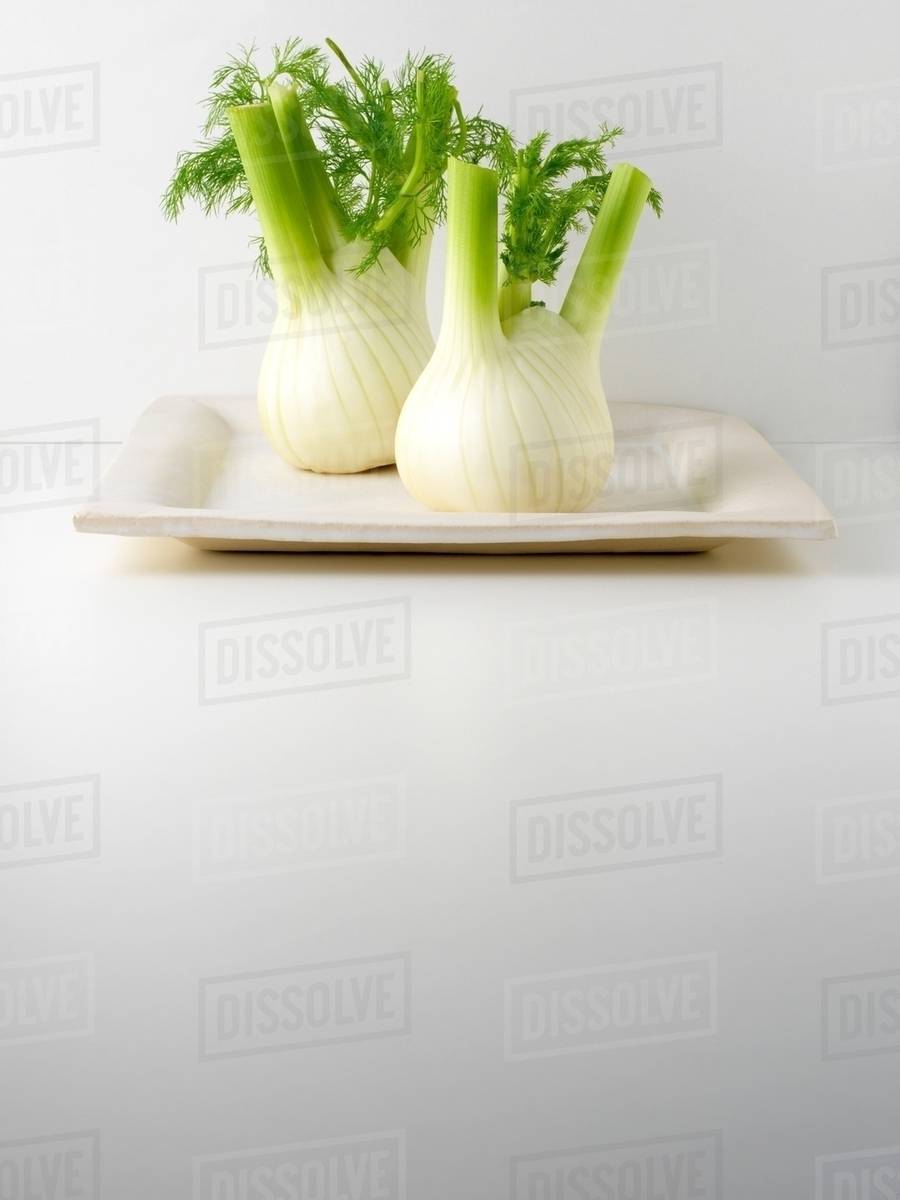 Fennel bulbs Stock Photo Dissolve