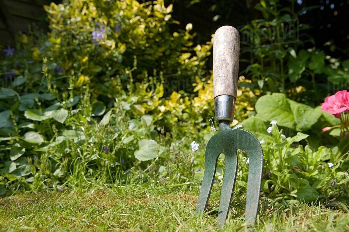 Gardening fork Stock Photo Dissolve