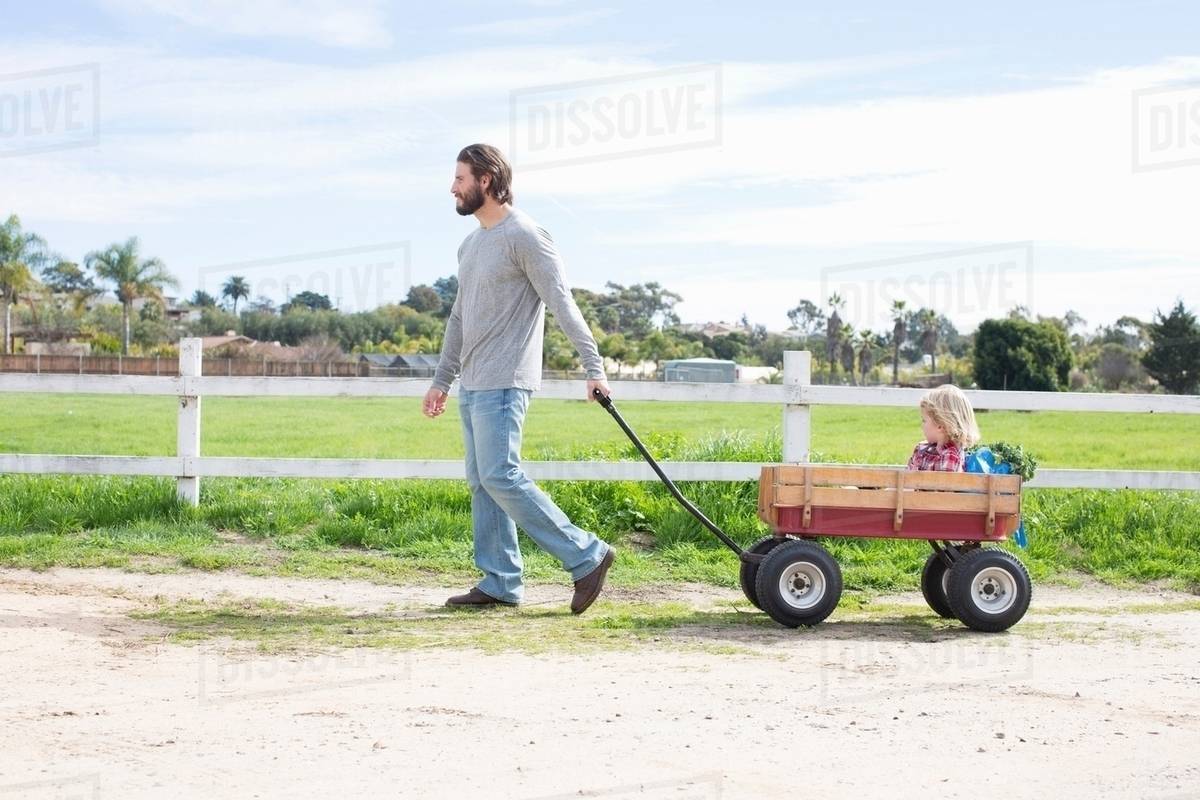 Father pulling son in wagon Stock Photo Dissolve