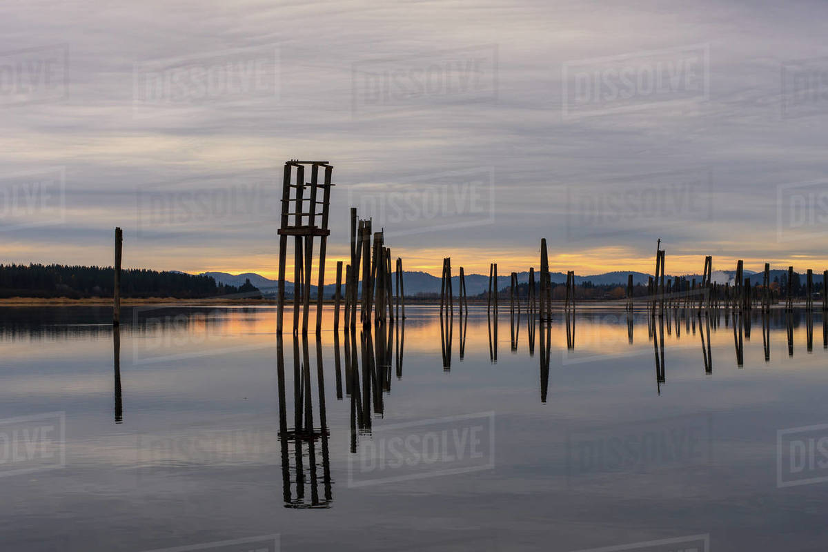 Tall wooden pilings lineup along the calm Pend Oreille River at Cusick