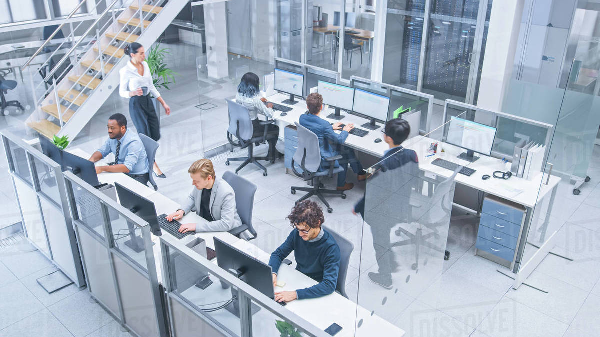 Diverse Multinational Team of Business Managers and Specialists Work on