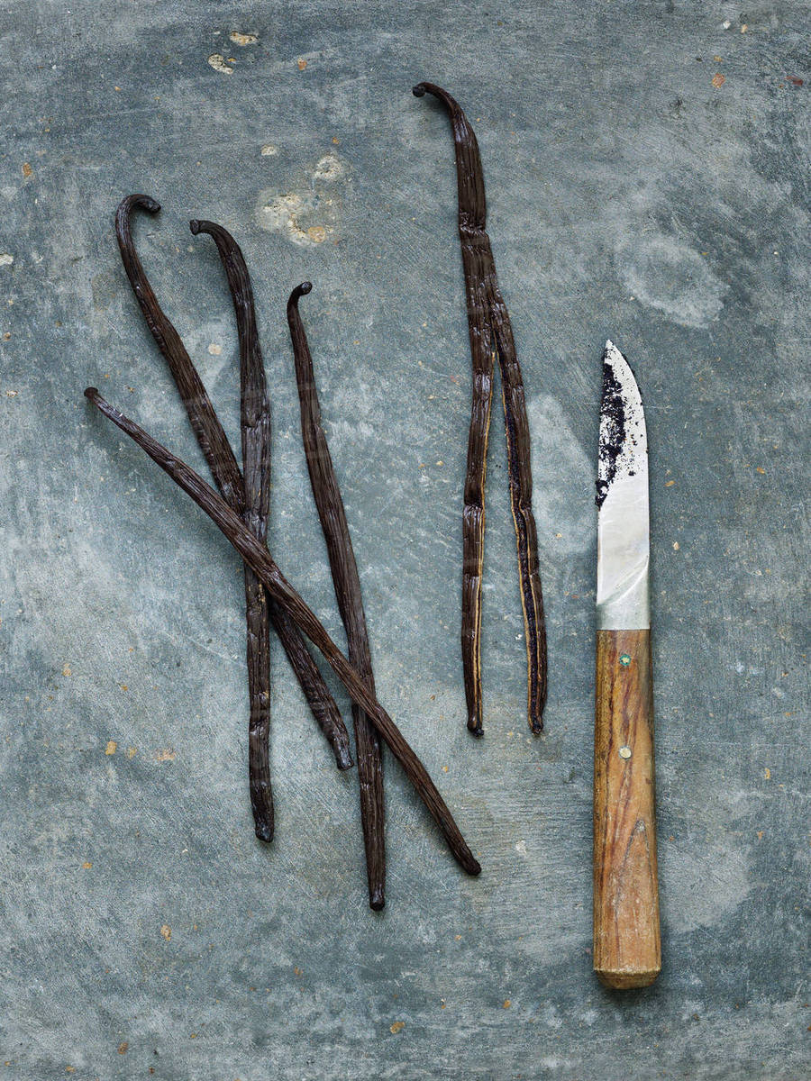Vanilla bean and knife Stock Photo Dissolve