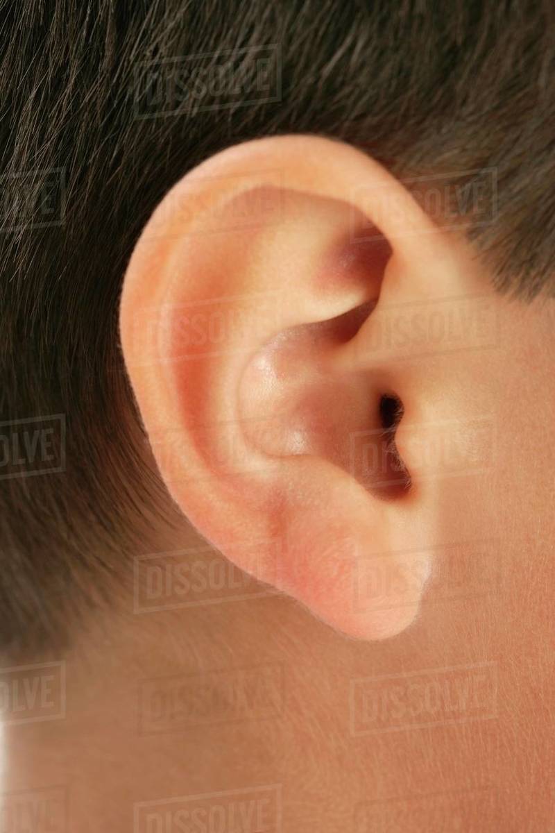 CloseUp Of An Ear Stock Photo Dissolve