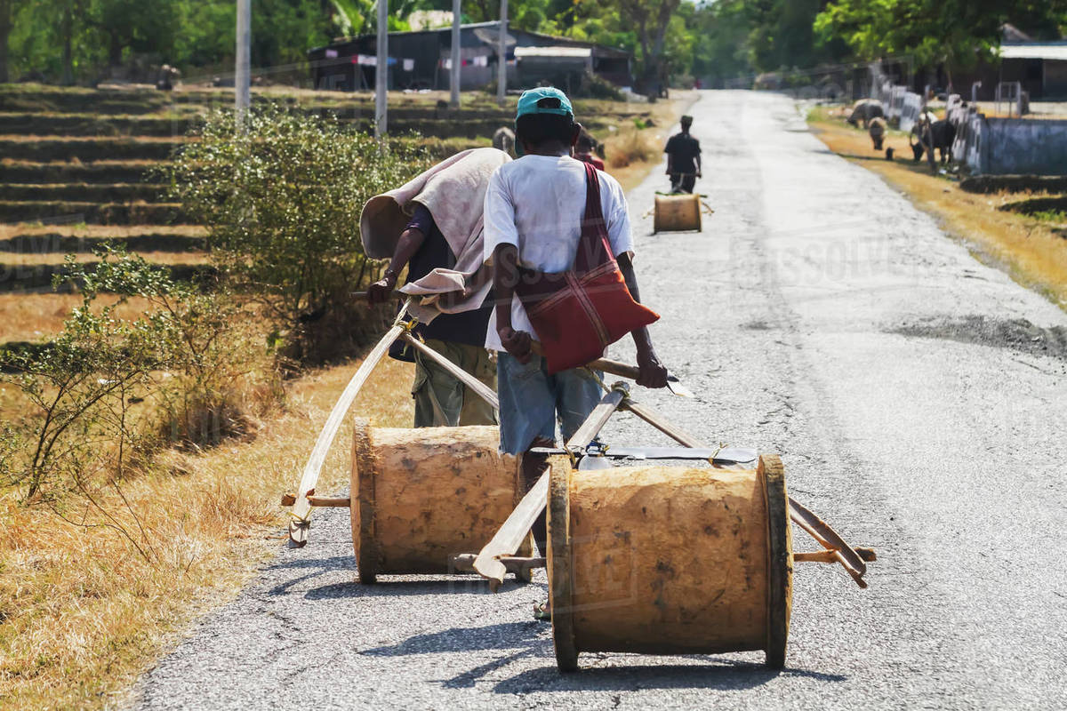 Farmers Carrying Their Tools On A Road, Near Vemasse; Baucau, East