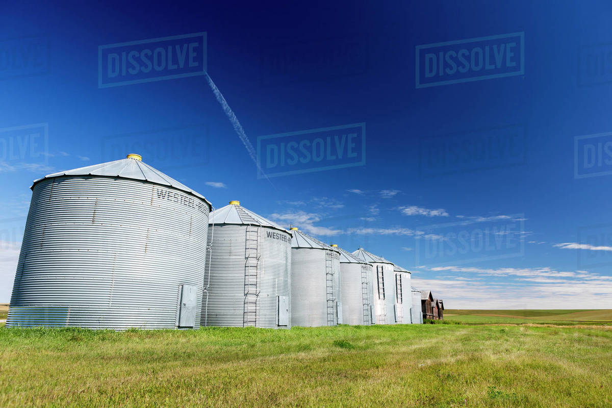 A Low Angle Image Of A Row Of Metal Grain Bins In A Field With Blue Sky