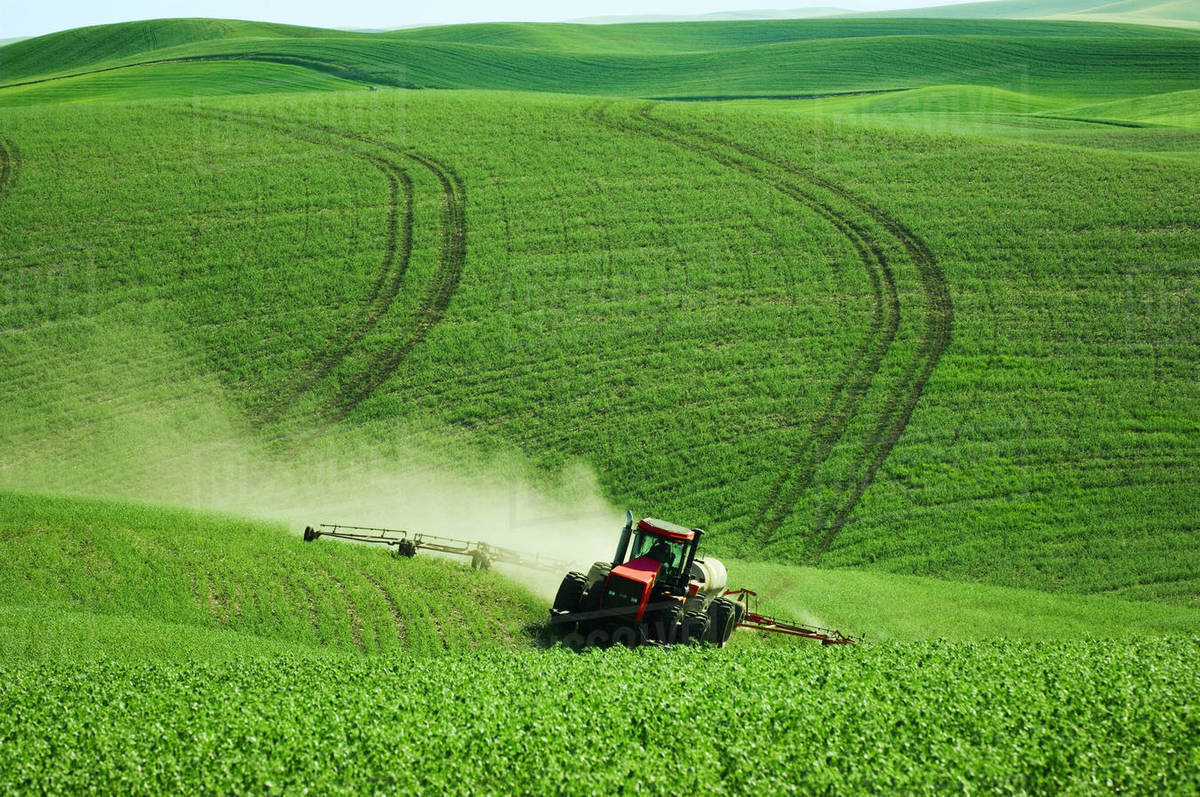 Agriculture Chemical application to a rolling early growth garbanzo