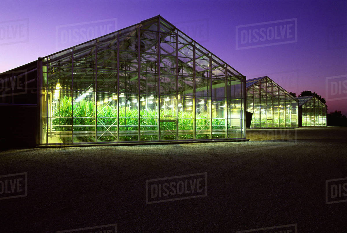 Agriculture Corn research greenhouses at dusk / Iowa, USA. Stock