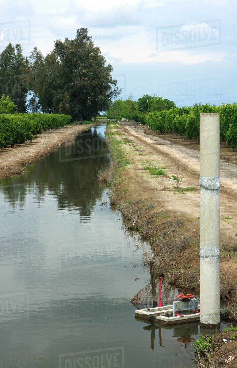 Agriculture An irrigation canal runs alongside orange and peach