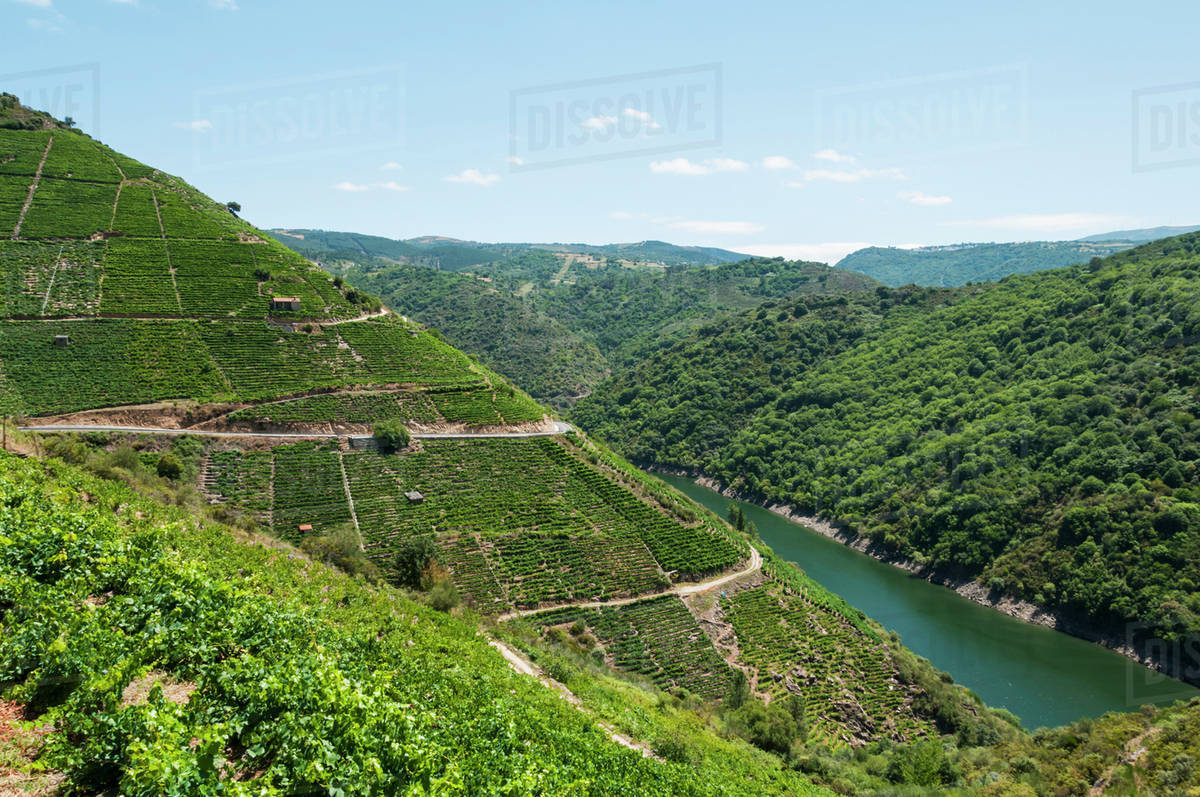 road-along-sil-river-location-of-the-famous-ribeira-sacra-vineyard