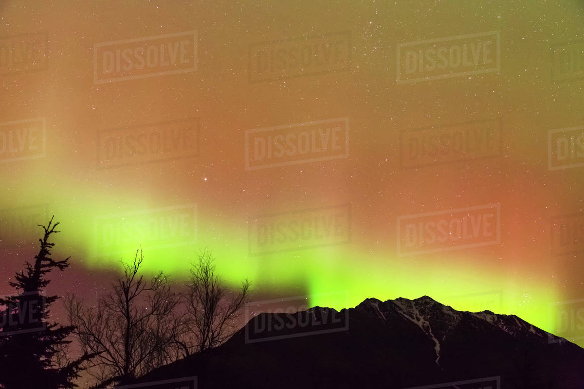 Northern Lights in the sky above Moose Pass, silhouetted Kenai