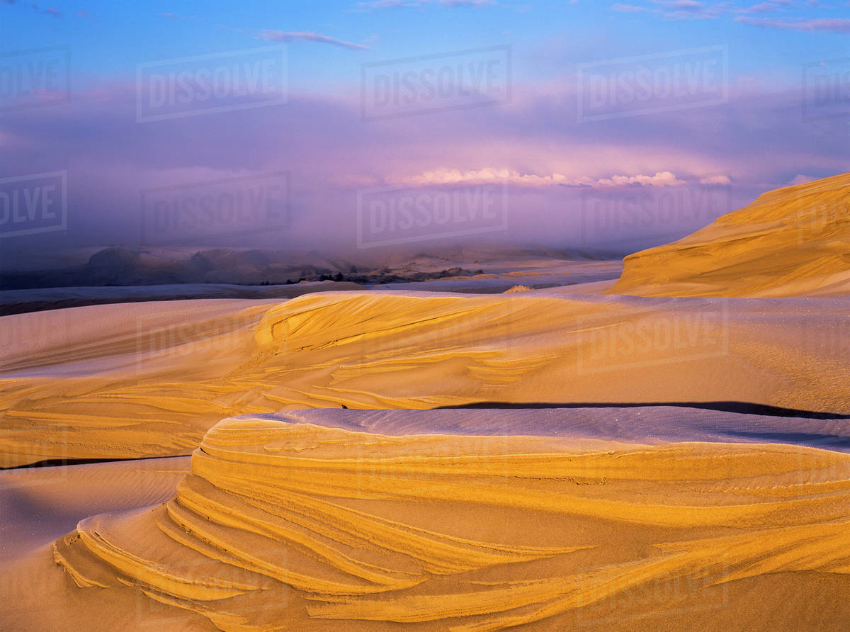 Frost on the Umpqua Dunes; Lakeside, Oregon, United States of America