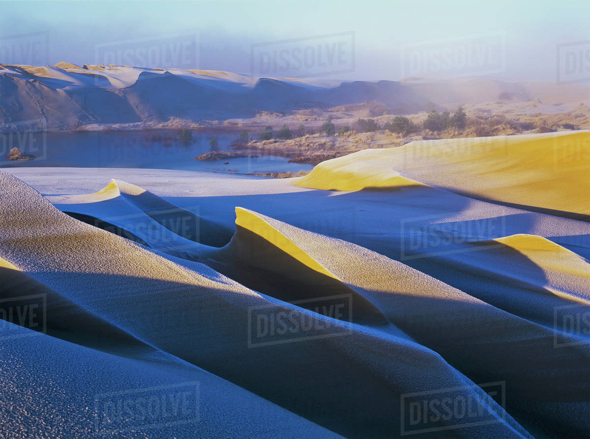 Frost and sunlight decorate the sand dunes; Lakeside, Oregon, United