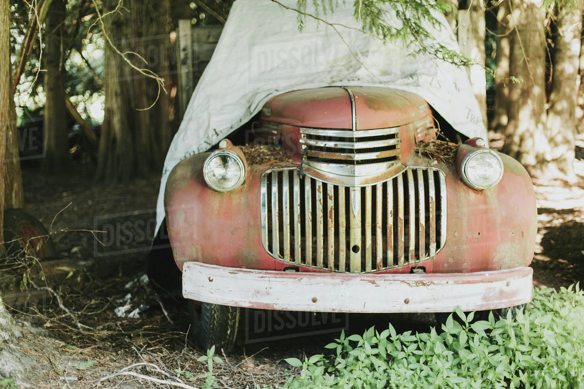 A Vintage Car Sitting Under Large Trees Covered With A Tarp; Pemberton