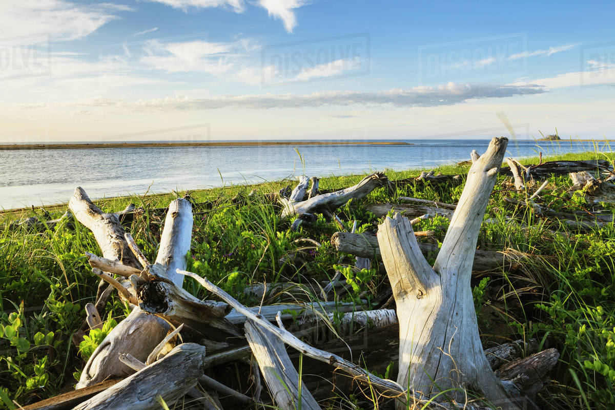 Banc de Portneuf at PortneufsurMer, CoteNord, Manicouagan region