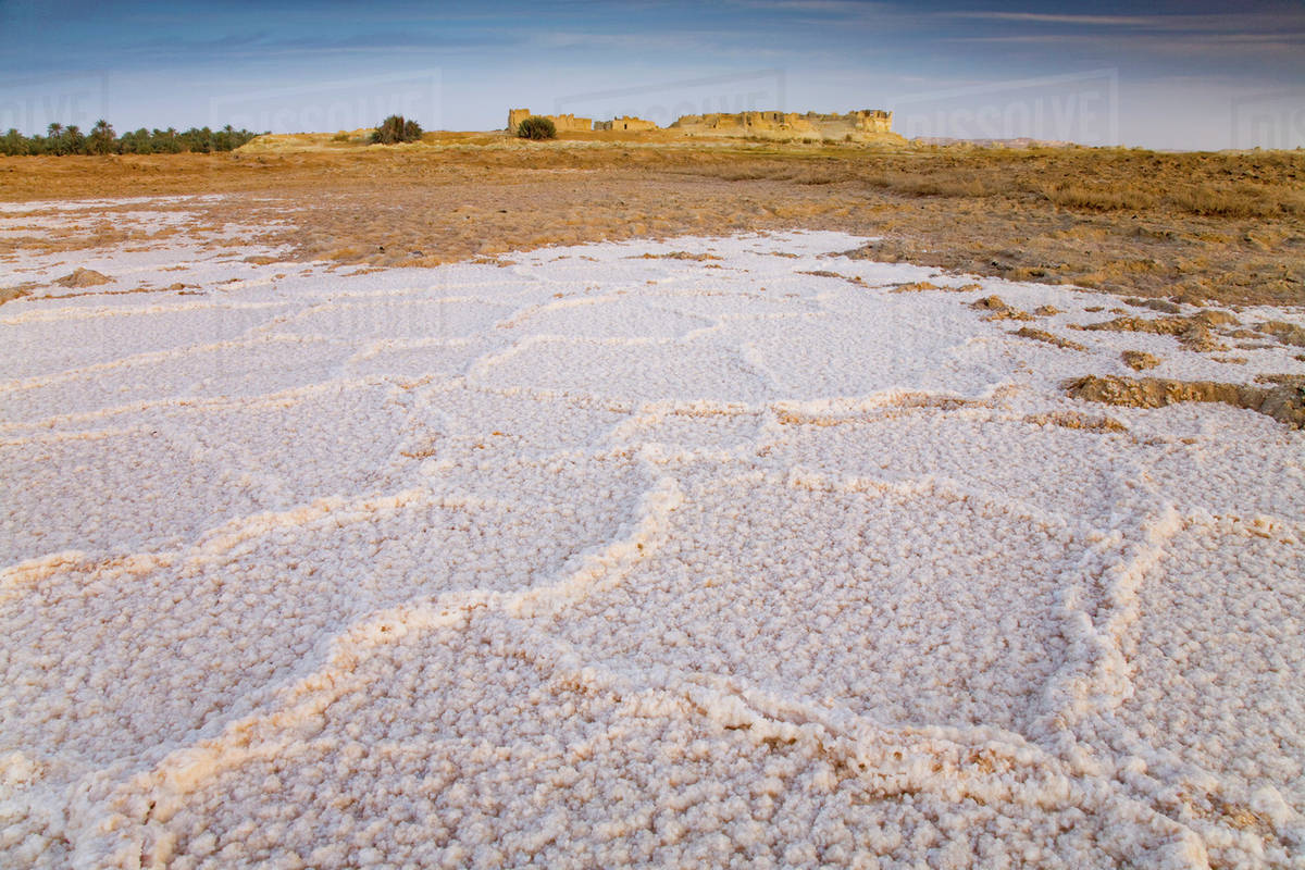 Dried Salt Deposits From A Dried Up Water Source On The Outskirts Of