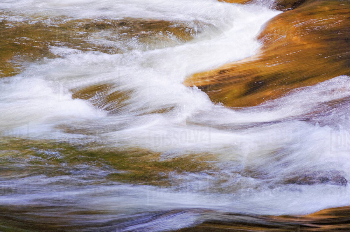 Water. Algonquin Provincial Park, Ontario. Canada. Stock Photo Dissolve