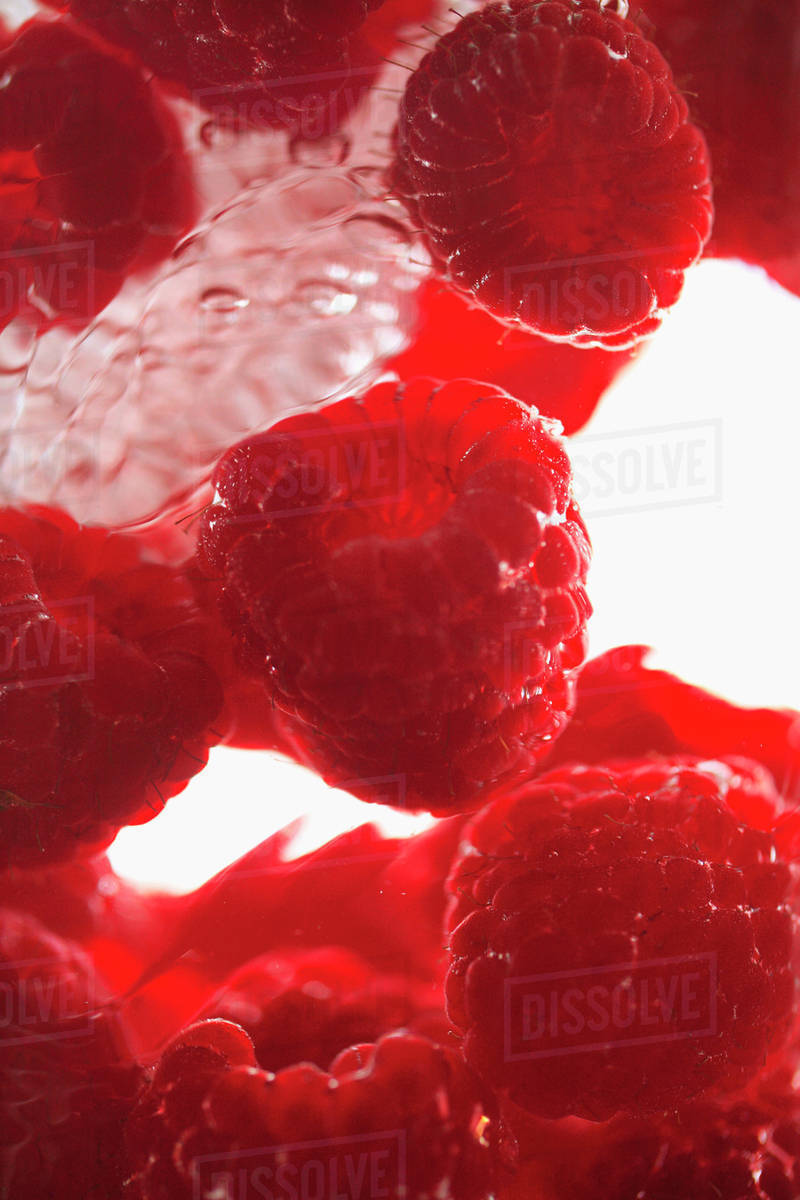 Raspberries Floating In Water - Stock Photo - Dissolve