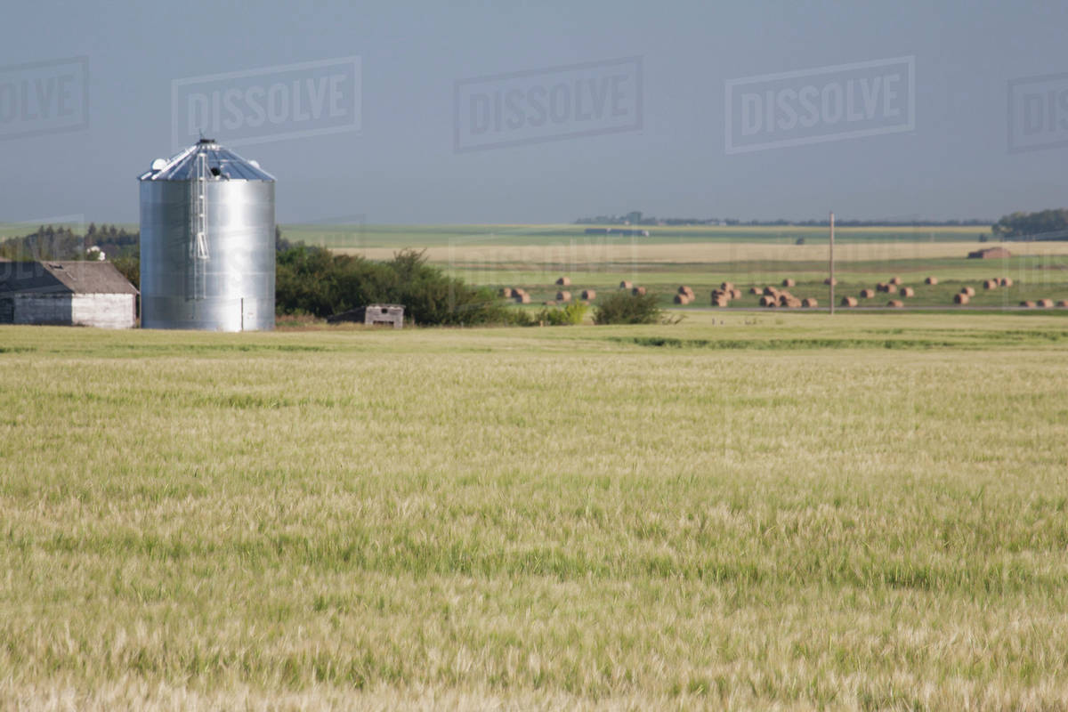 Metal grain bin in a green field with hay bales in the background with blue sky north of