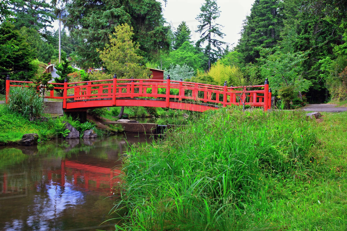 A Bridge With A Red Railing Over A Pond In Mingus Park; Coos Bay