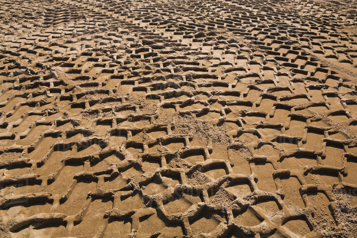 Heavy Tire Tracks In The Sand; Quebec, Canada Stock Photo Dissolve