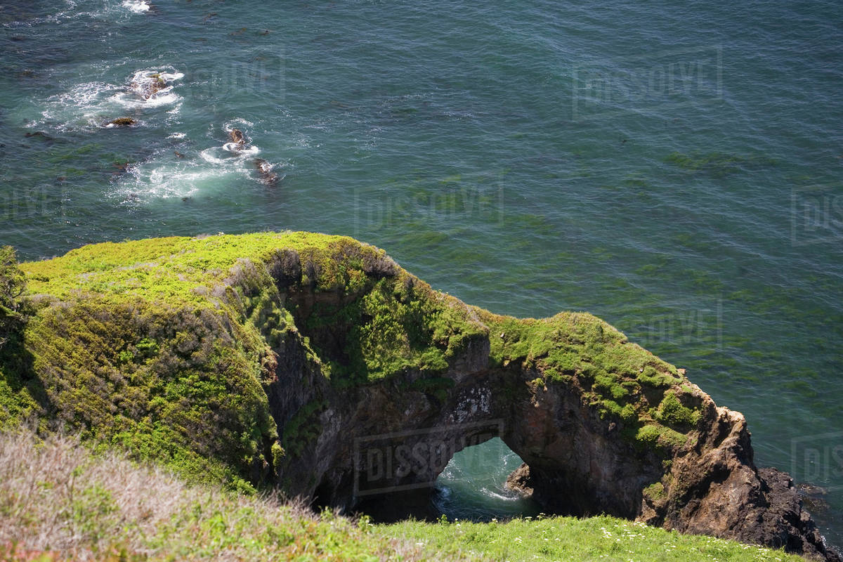 Moss Covered Rock Formation With An Arch Along The Coast; Otter Rock, Oregon, United States of